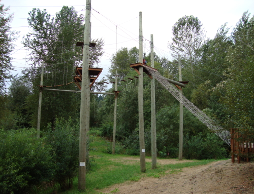 Ropes Course with Adventura